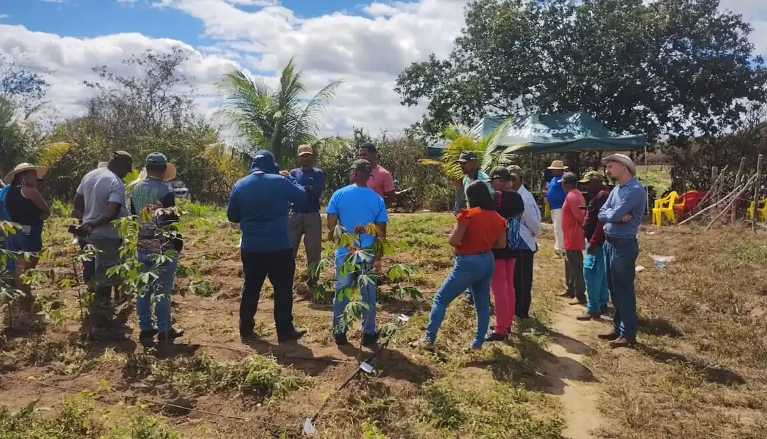 Agricultores participam de capacitação em manejo de irrigação no semiárido baiano