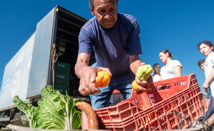 Agricultor separa hortaliças e legumes em caixas durante ação de abastecimento em Ponta Grossa