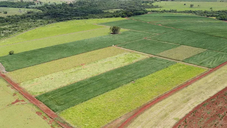Vista aérea de experimento de longa duração com diferentes sistemas de produção e níveis de manejo em Dourados (MS)