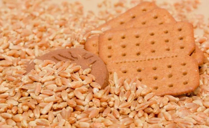 Biscoitos apoiados sobre grãos de triticale
