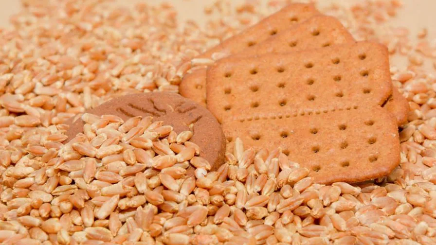 Biscoitos apoiados sobre grãos de triticale