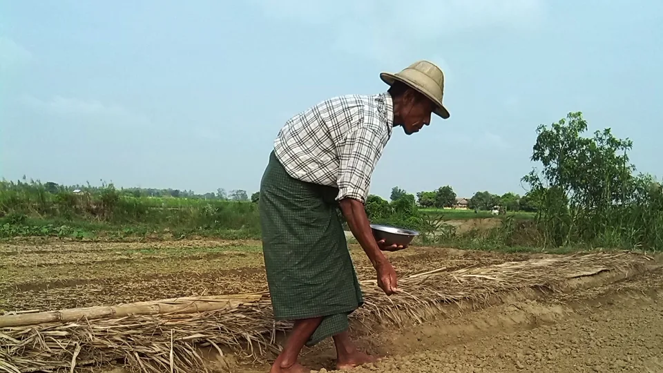 Agricultor semeando em pequena propriedade rural.