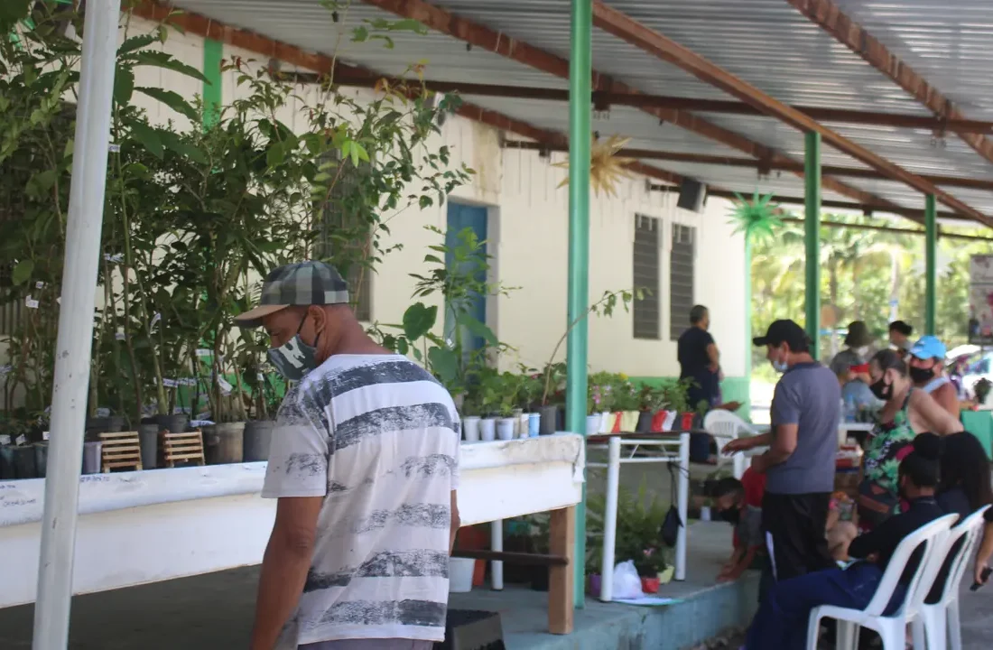 Feira do produtor com agricultores e visitantes em Taiaçupeba, São Paulo