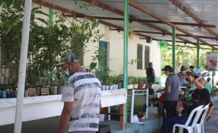 Feira do produtor com agricultores e visitantes em Taiaçupeba, São Paulo