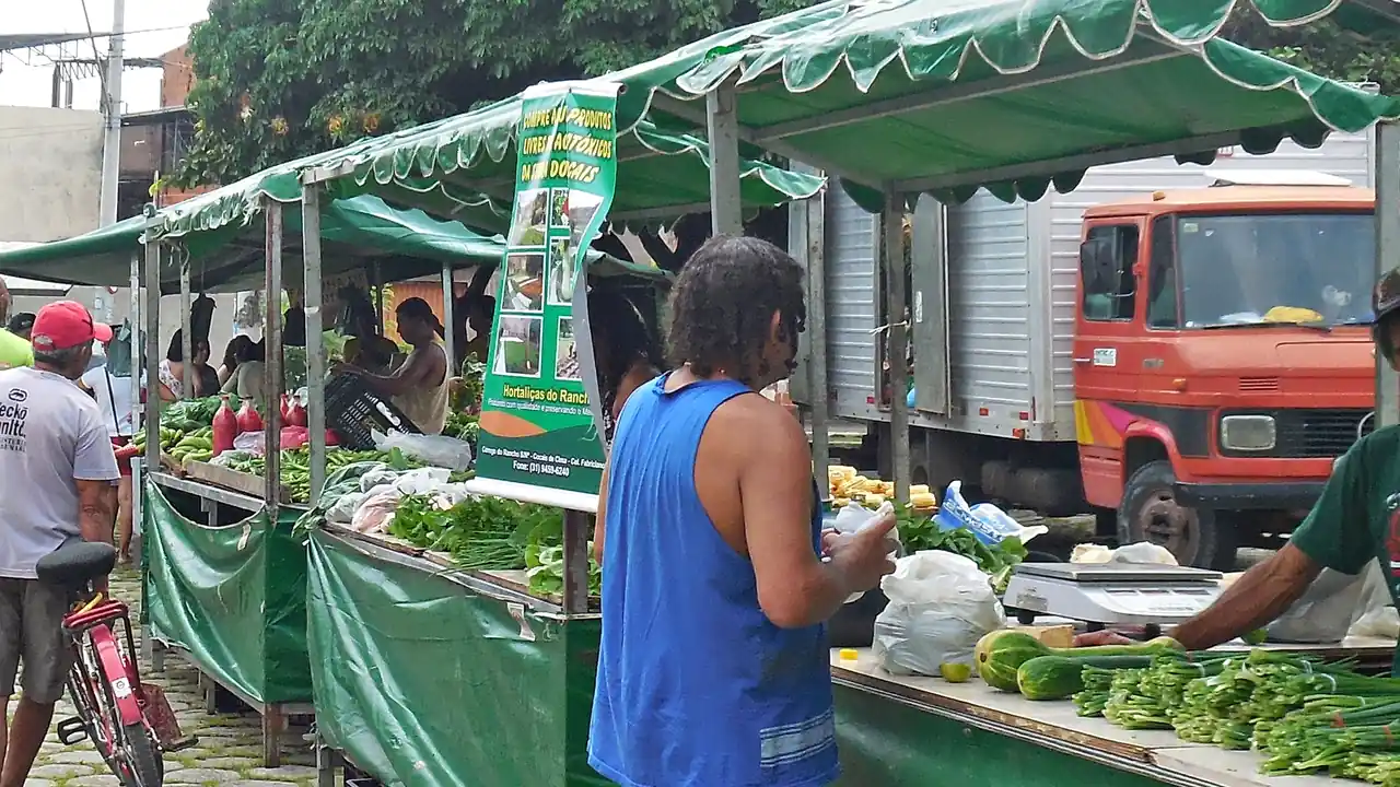 Hortaliças expostas em feira popular de Coronel Fabriciano, Minas Gerais