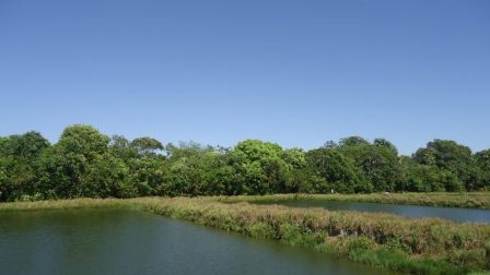 Viveiro escavado com água e vegetação às margens em uma propriedade rural